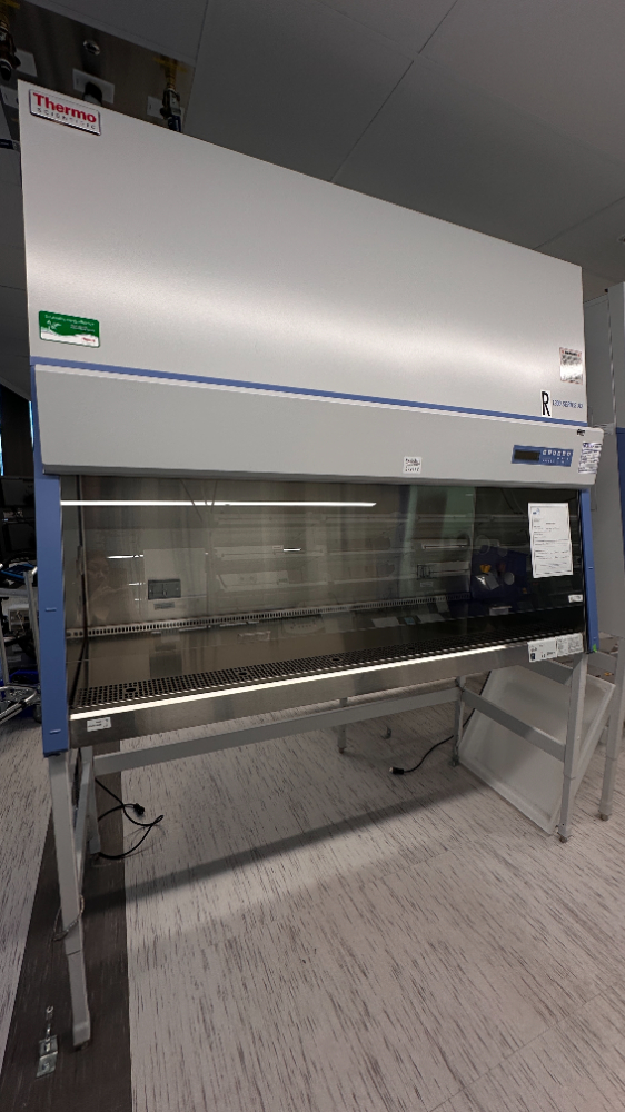 Image of Thermo Scientific 1300 Series A2 BSC- 6ft